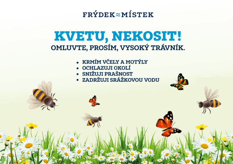 Město rozšiřuje luční porosty