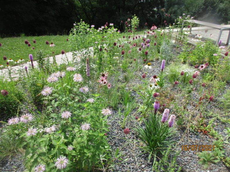 Údržba veřejné zeleně v tomto týdnu