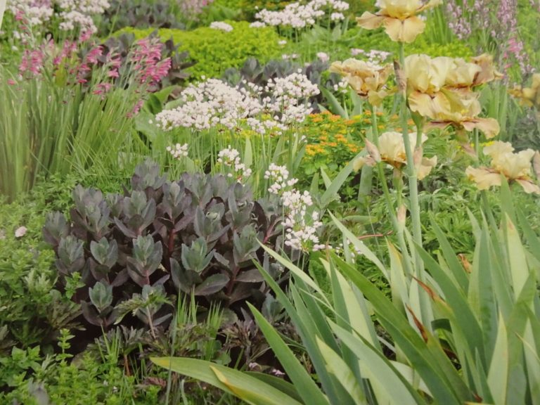 Údržba veřejné zeleně v tomto týdnu