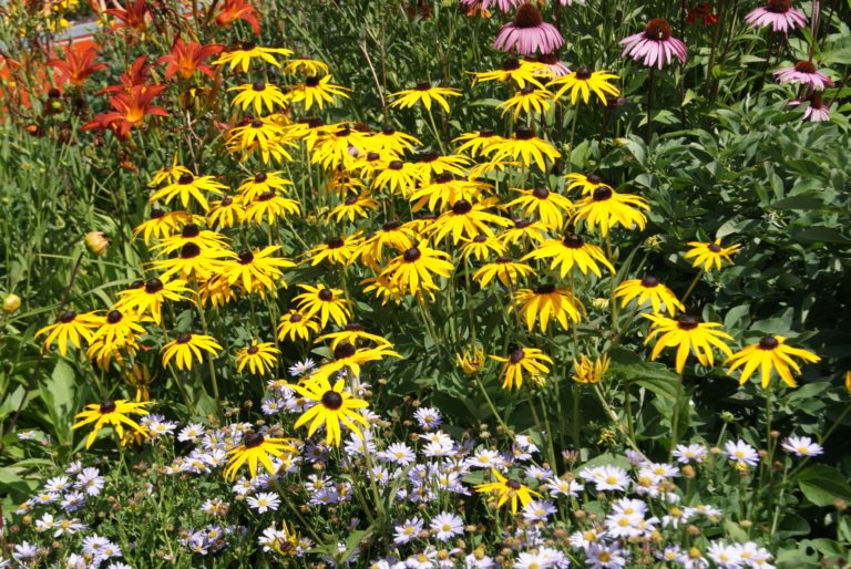 Údržba veřejné zeleně v tomto týdnu