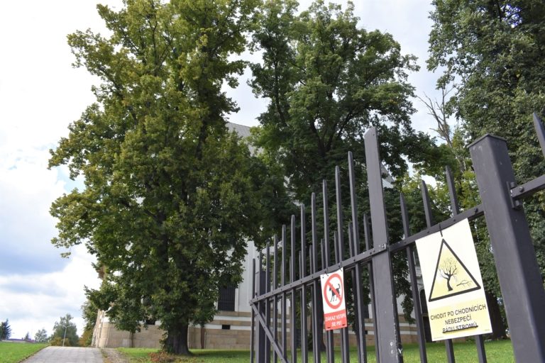 V parku u frýdecké baziliky opět vrčí pily