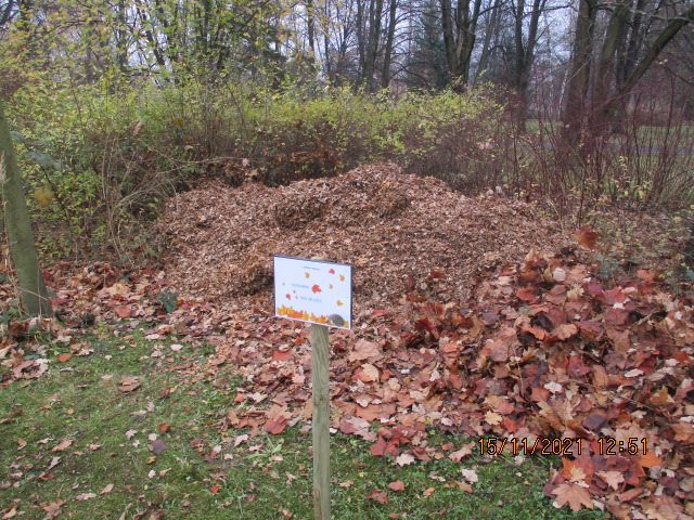 NEHRABEME LISTÍ, TADY SPÍ JEŽCI