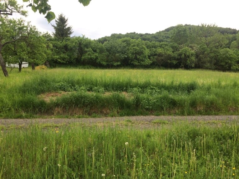 NABÍDKOVÉ LICITAČNÍ ŘÍZENÍ – PRODEJ POZEMKU