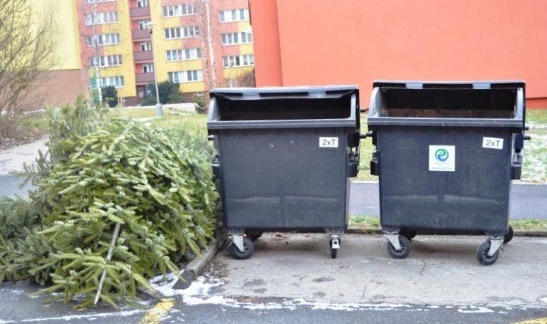 POSLEDNÍ SVOZY VÁNOČNÍCH STROMKŮ