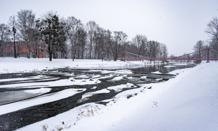 RADA A POMOC PRO LIDI BEZ DOMOVA