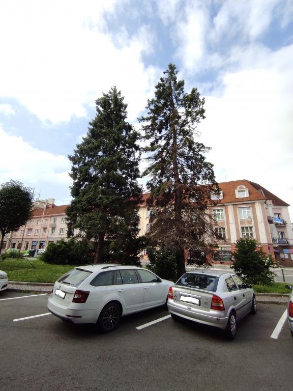 KÁCENÍ SUCHÉHO SMRKU