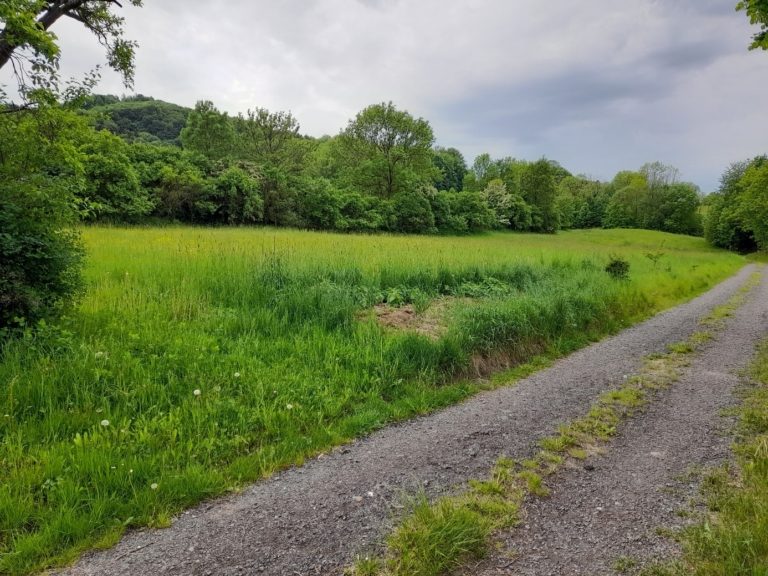 NABÍDKOVÉ LICITAČNÍ ŘÍZENÍ – PRODEJ POZEMKU