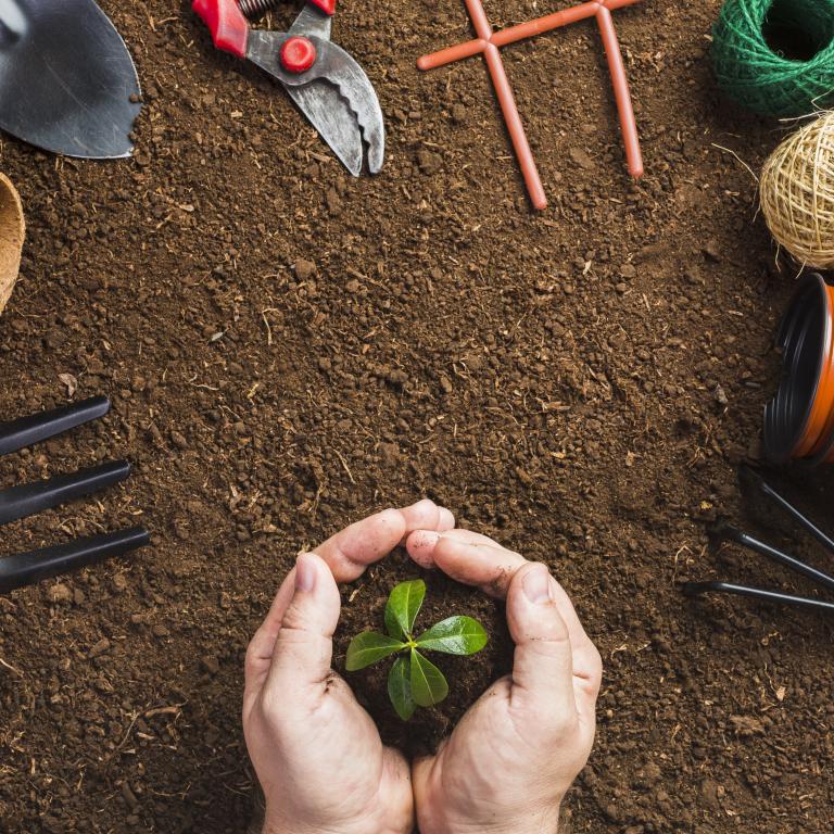 MĚSTO PŘISPĚJE LIDEM NA MINIZAHRÁDKY