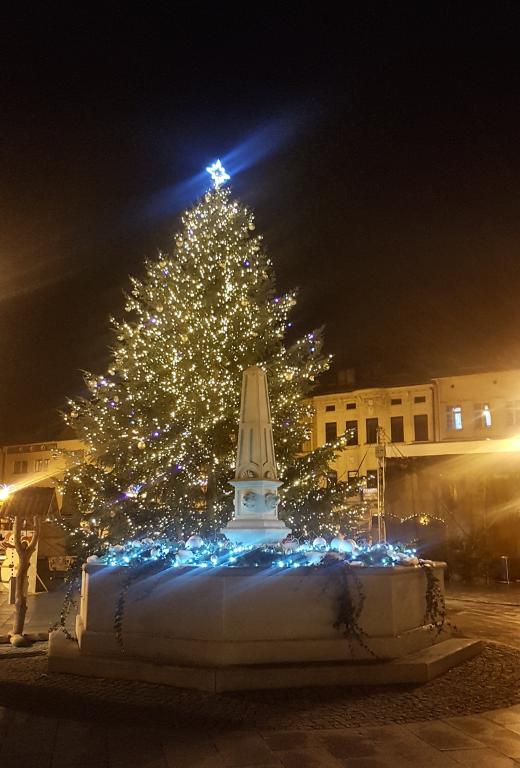PŘEDVÁNOČNÍ VÝZVA: VAŠE FOTOGRAFIE VÁNOČNÍHO STROMU NA OBÁLCE ZPRAVODAJE