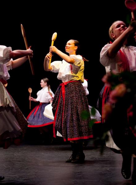 Město podpoří Sweetsen fest i Mezinárodní folklorní festival