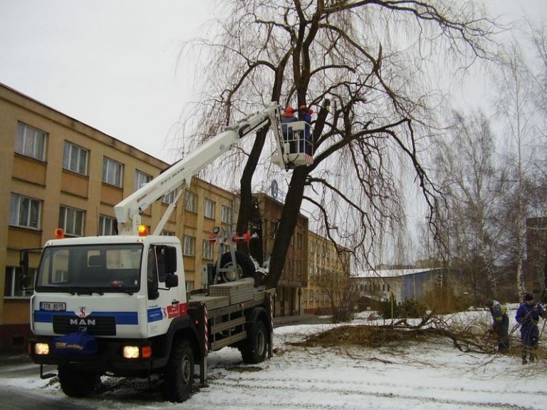 Obnova zeleně obnáší i kácení stromů