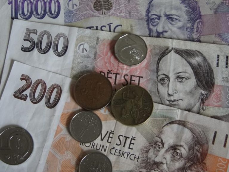 Amnestie na poplatky z prodlení byla úspěšná