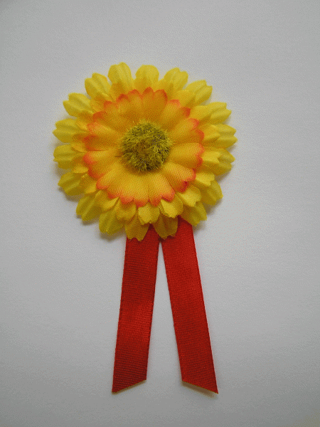 ČESKÝ DEN PROTI RAKOVINĚ – KVĚTINOVÝ DEN