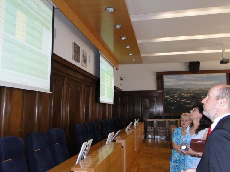 Magistrát zažil první elektronickou aukci