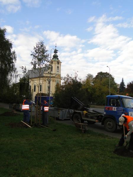 Ve městě bude vysázeno přes 500 stromů a keřů