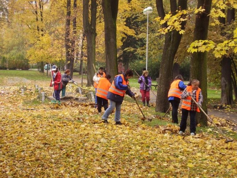 Uklízíme listí, omlazujeme keře a sadíme nové stromy i kytky