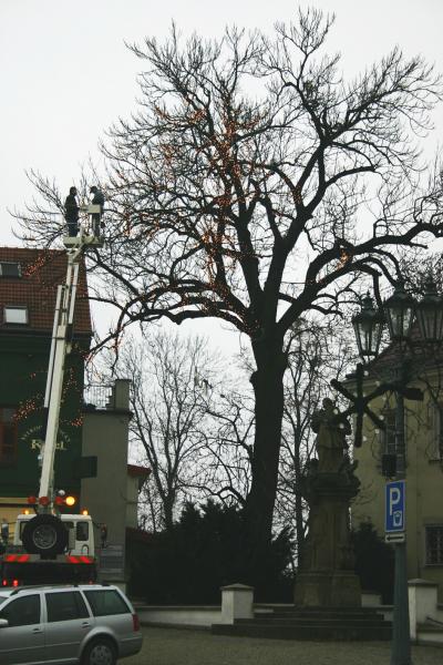Vánoční výzdoba je v plném proudu