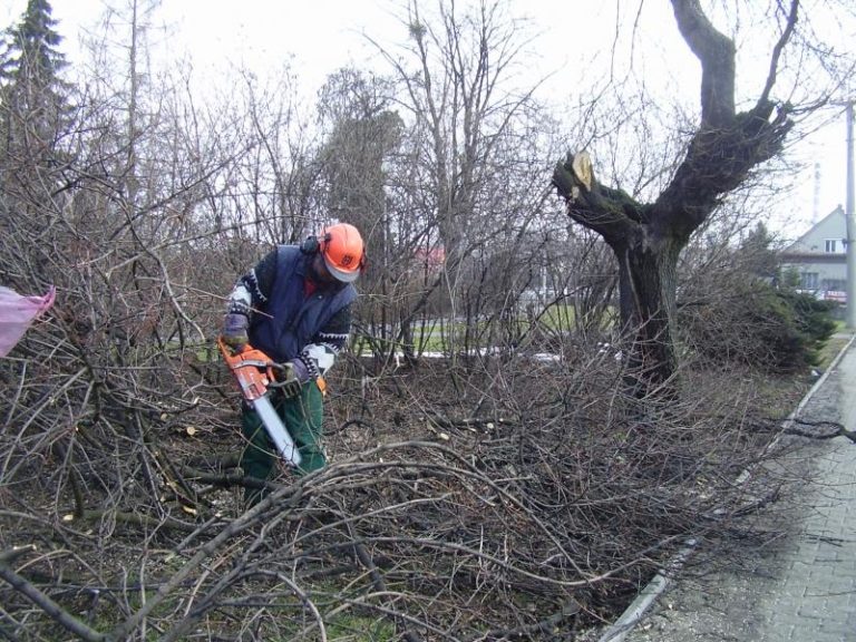 Technické služby zmlazují keře