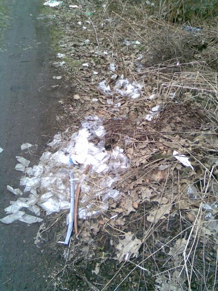 V měsíci březnu zlikvidováno 4,41 t odpadu