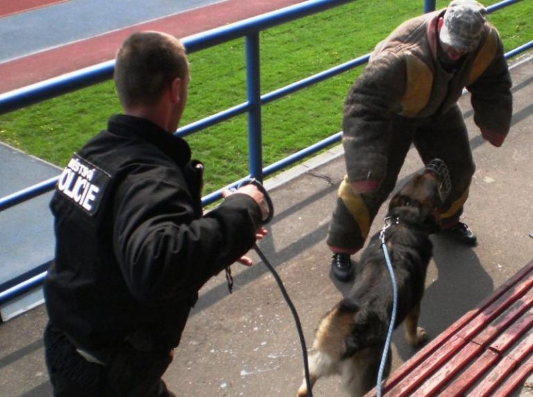 Policejní kynologové si předávali zkušenosti
