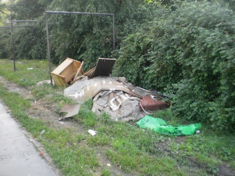 V měsíci červenci zlikvidováno 2,62 t odpadu z černých skládek