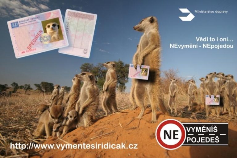 Výměna řidičských průkazů