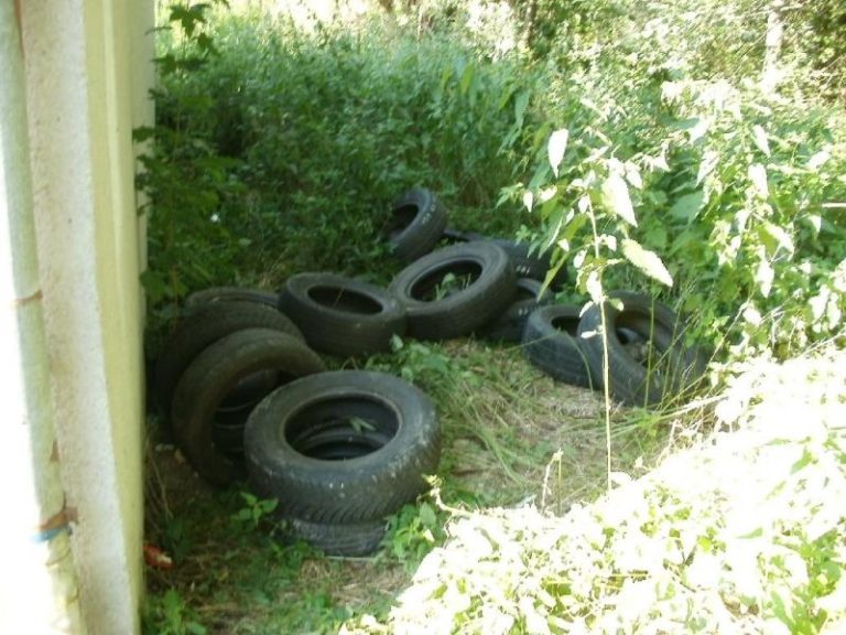 V měsíci srpnu 2011 zlikvidováno 9.41 t odpadu z černých skládek