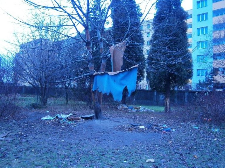 V prosinci 2011 bylo odstraněno z černých skládek 2,99 t odpadu