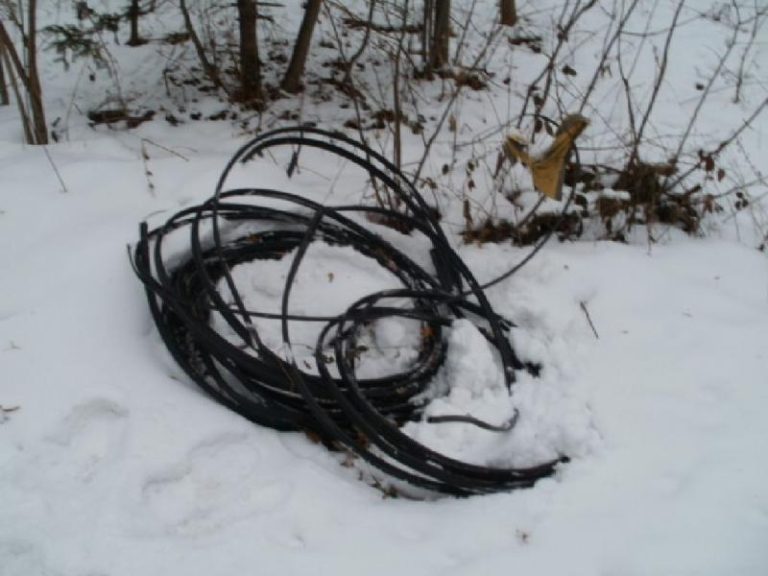 V únoru 2012 bylo odstraněno 0,28 t odpadu z černých skládek