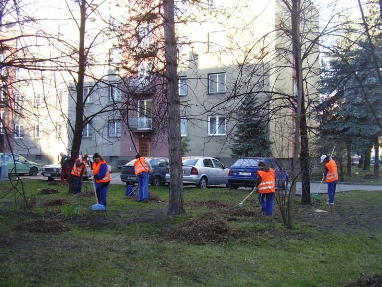 Jarní úklid má nový řád