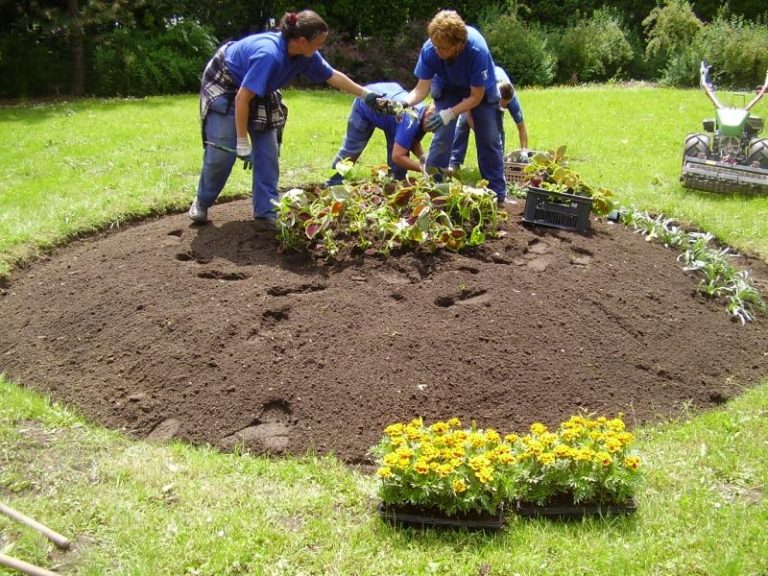 Město zdobí letničky