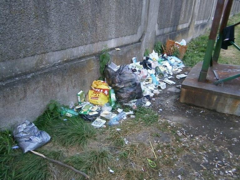 2,77 t odpadu zlikvidováno z černých skládek v měsíci červnu 2012