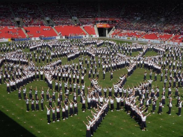 Sokolové z Frýdku-Místku si zacvičili v Praze