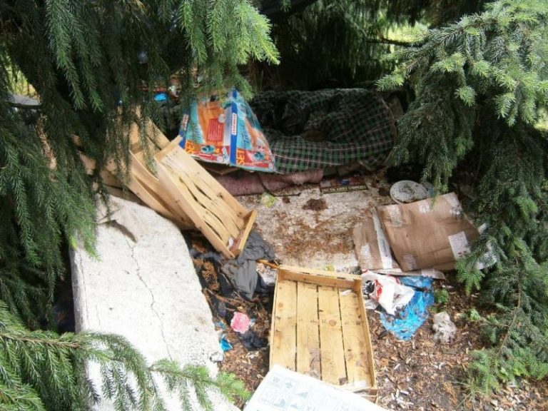 0,82 t odpadu zlikvidováno z černých skládek v měsíci červenci 2012