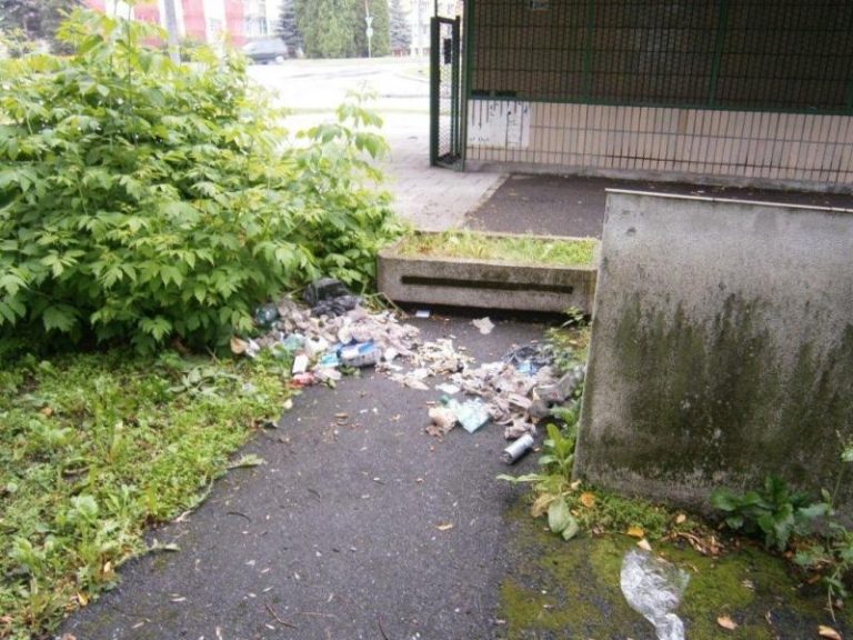 10,73 t odpadu zlikvidováno v mésíci srpnu 2012 z černých skládek