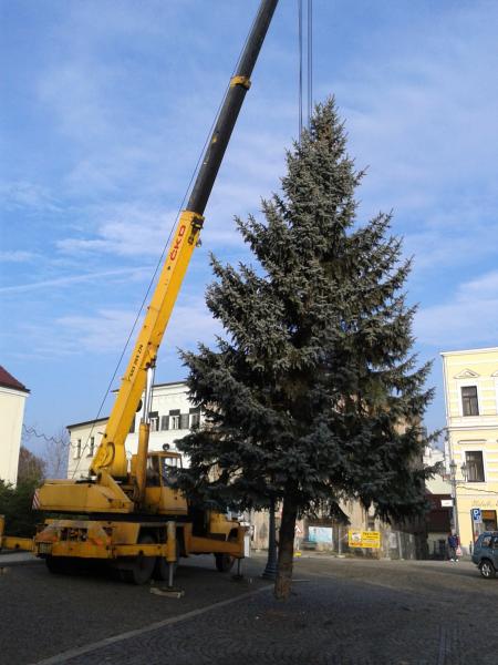 Náměstí už zdobí vánoční stromy