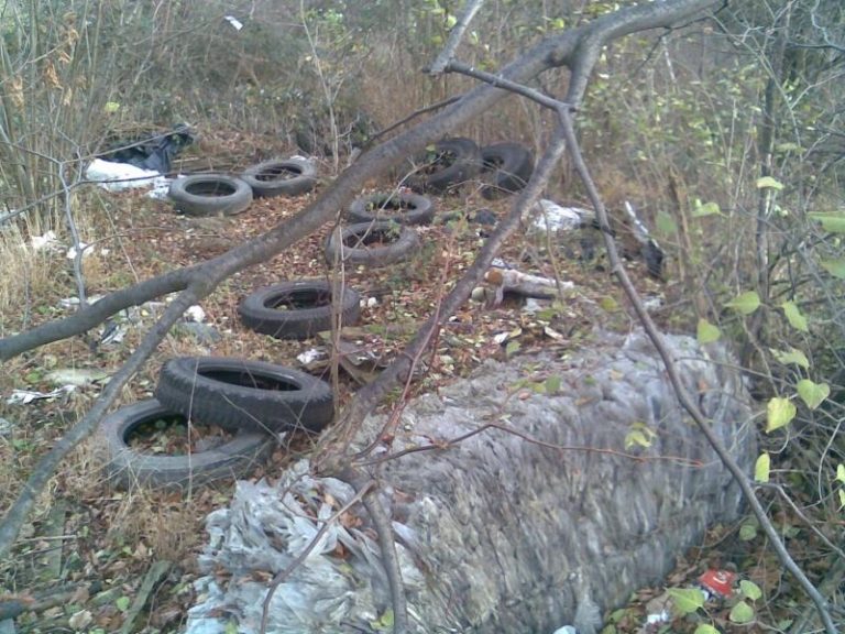 7,56 t odpadu zlikvidováno v měsíci listopadu 2012 z černých skládek