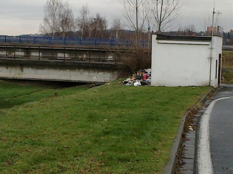 1,33 t odpadu zlikvidováno v měsíci prosinci 2012 z černých skládek