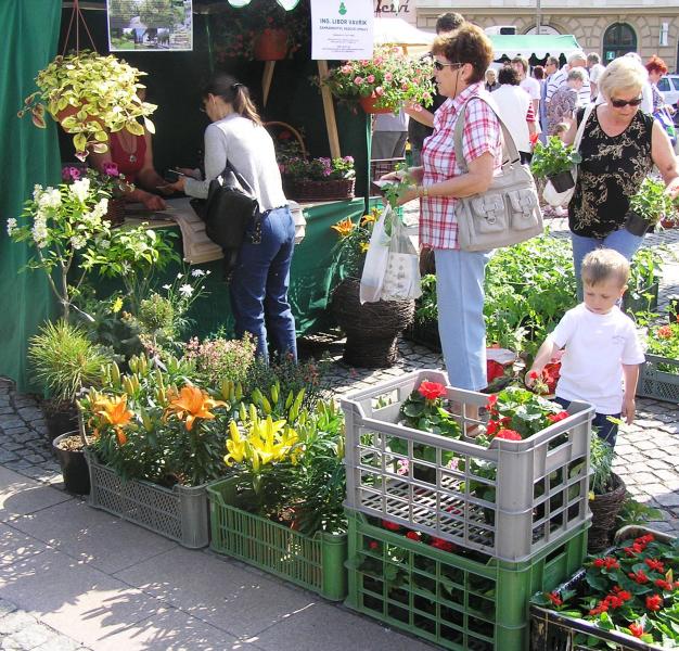 Farmářské trhy odstartuje v květnu květinový trh