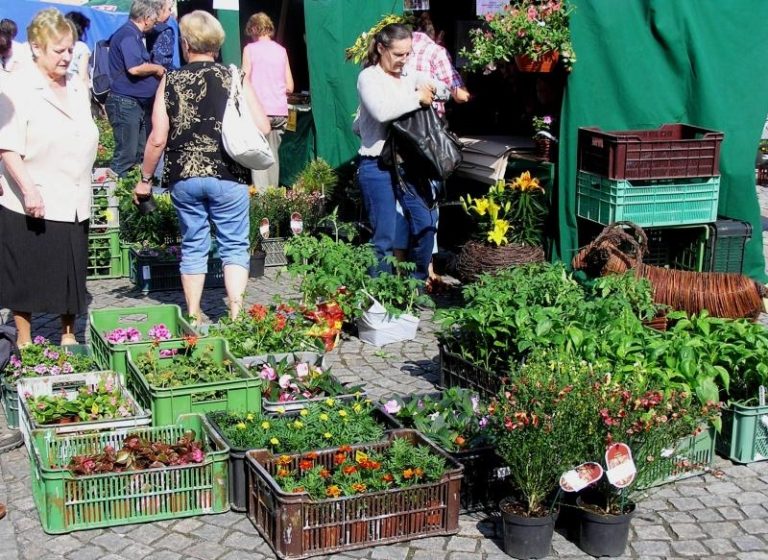 Farmářské trhy startují 9. května