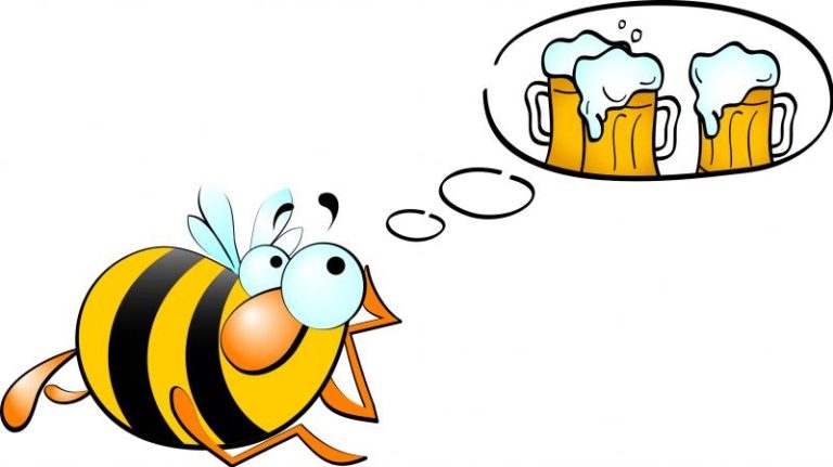 Kde se pivo vaří, tam se dobře daří!