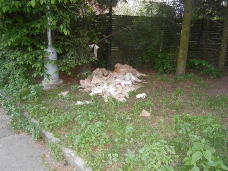 5,68 t odpadu zlikvidováno v měsíci červenci 2013 z černých skládek