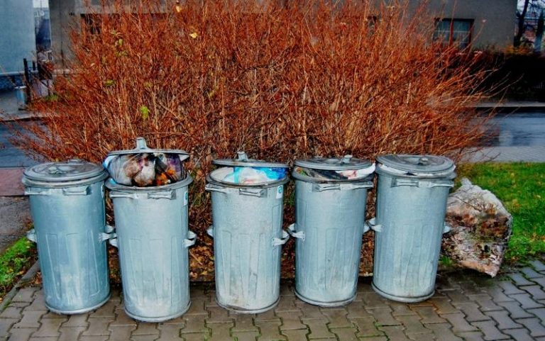 Poplatek za komunální odpad se musí platit i za stavby určené k rekreaci, byty a rodinné domy