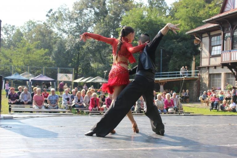 Den pro seniory 2014