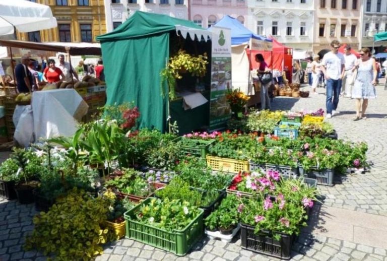 Farmářské trhy odstartuje 7. května „Květinový trh“