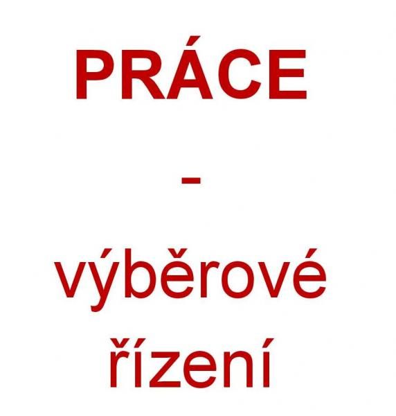 Vyhlášení výběrového řízení na pozici vedoucího oddělení správy budov a bytového fondu odboru správy obecního majetku