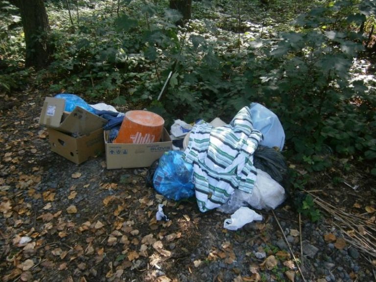 1,61 t odpadu zlikvidováno v měsíci srpnu 2015 z černých skládek