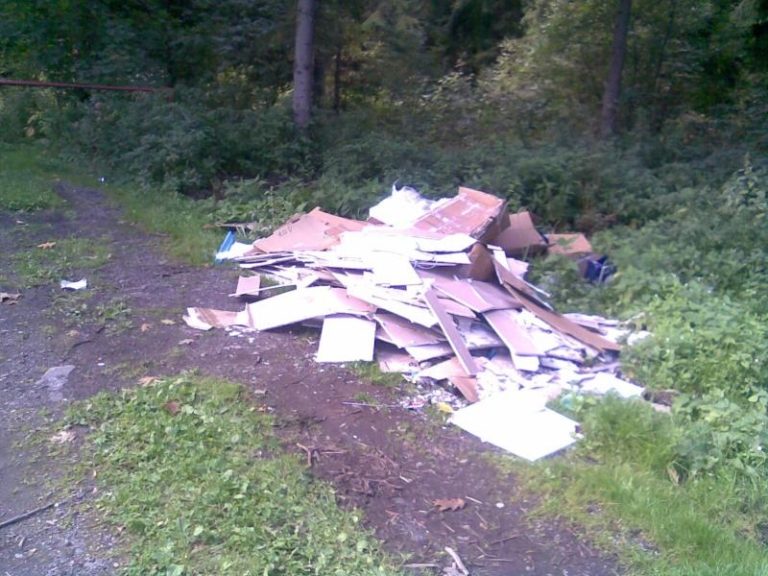 2,26 t odpadu zlikvidováno v měsíci září 2015 z černých skládek