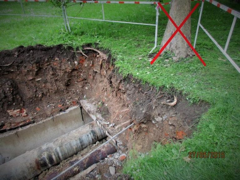 KÁCENÍ DŘEVIN Z DŮVODU GENERÁLNÍ OPRAVY HORKOVODU A PLYNOVODU