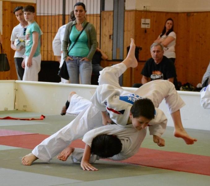 6 titulů krajského přeborníka pro Judo Beskydy.